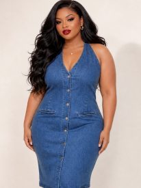 Plus Size Easton Curve Demin Dress - Blue